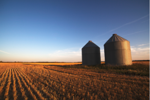 Grain Bins