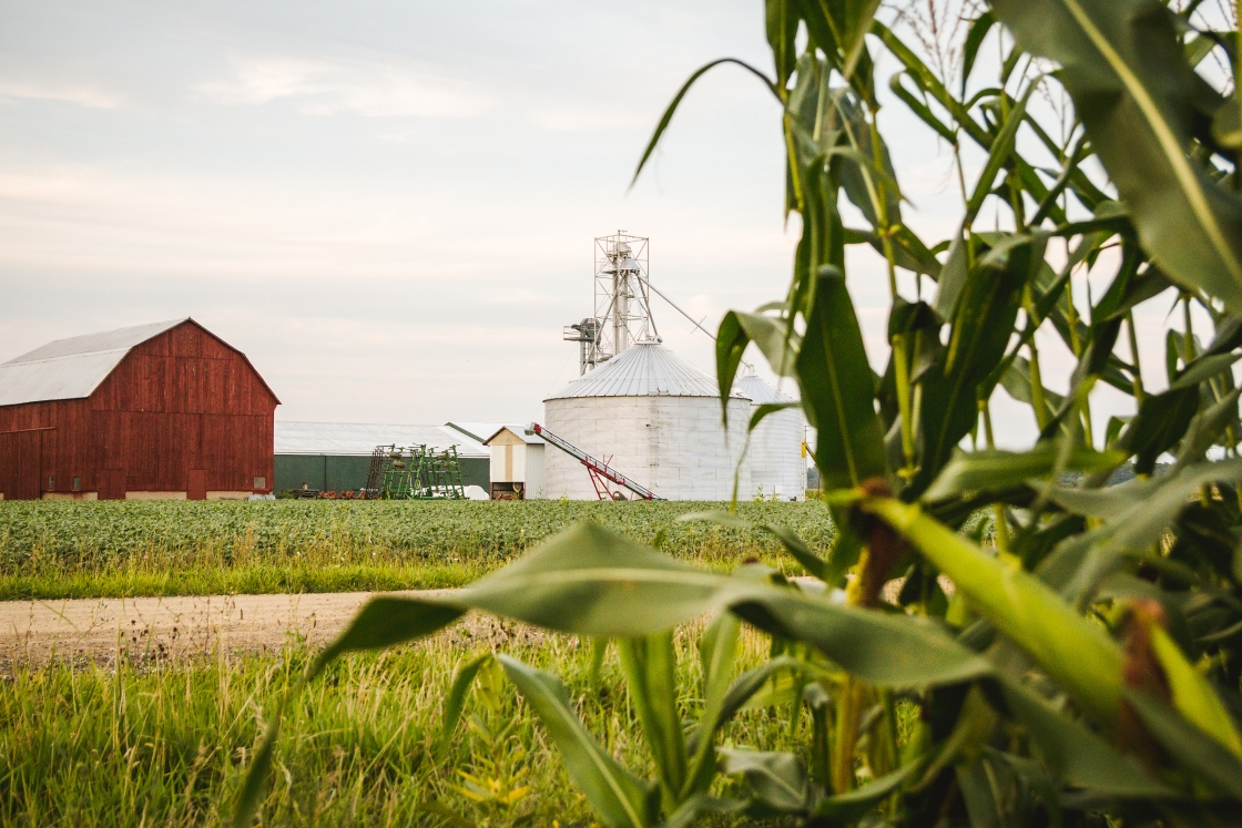 Farm