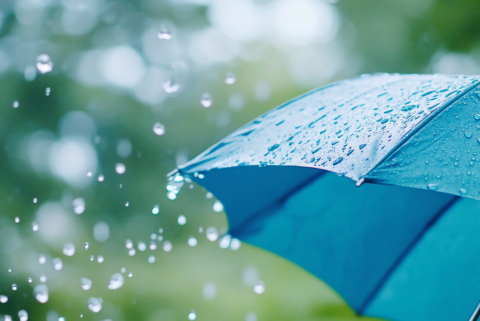 Umbrella